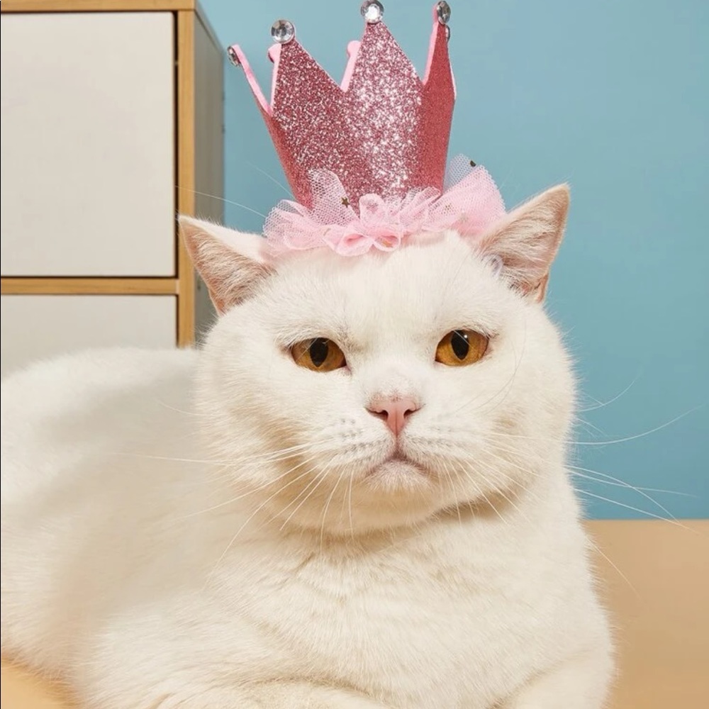 Crown Design Pet Headwear 🐈